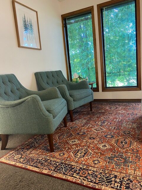 therapy office decor with two chairs and a rug natural bohemian